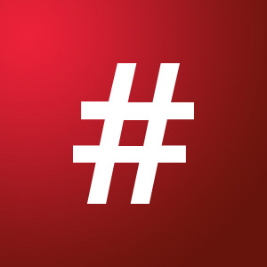 Elements | WildLearner - Learn to code, and get hired.